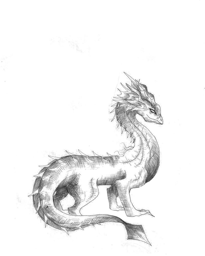 800x1000 Fire Baby Dragon Detailed Lineart Commish By Khaoseden