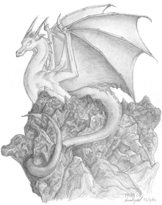 551x698 Shadow Of Light