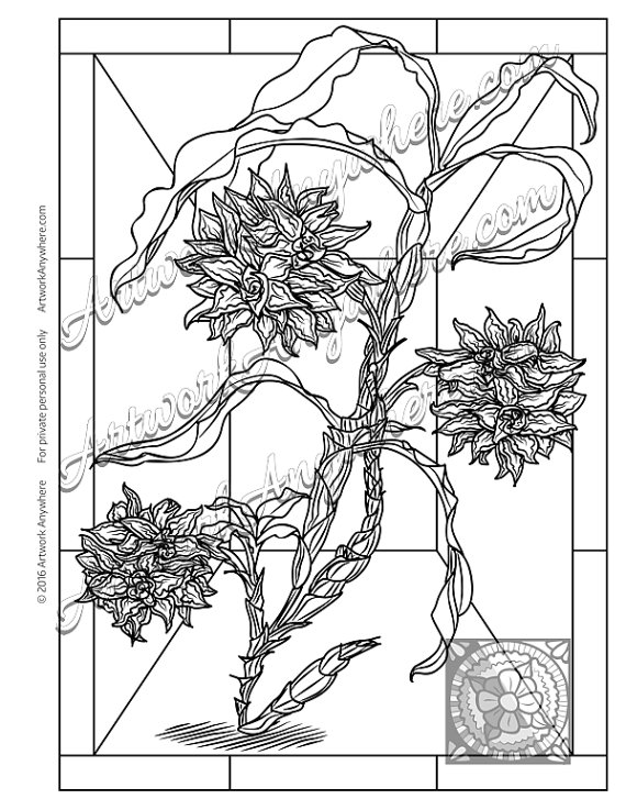 570x737 Orchid Cluster Detailed Drawing Adult Coloring Page