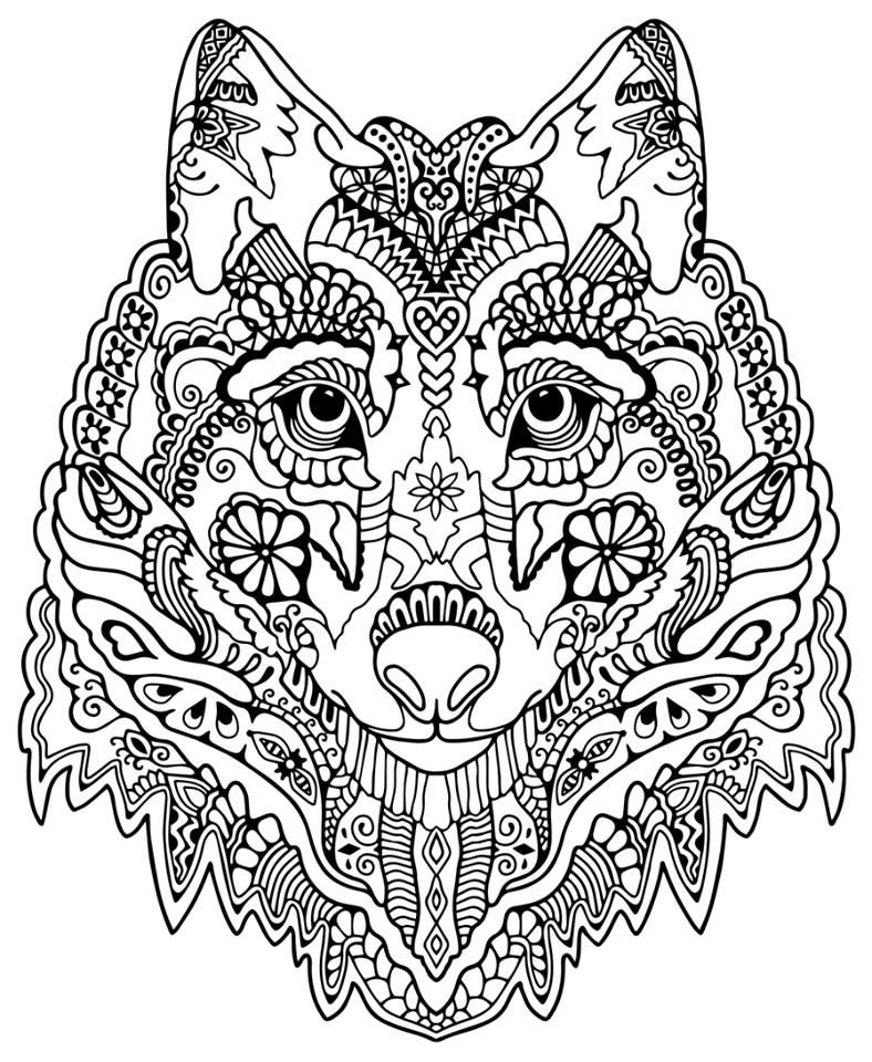 788x960 Wolf Abstract Doodle Zentangle Coloring Pages Colouring Adult