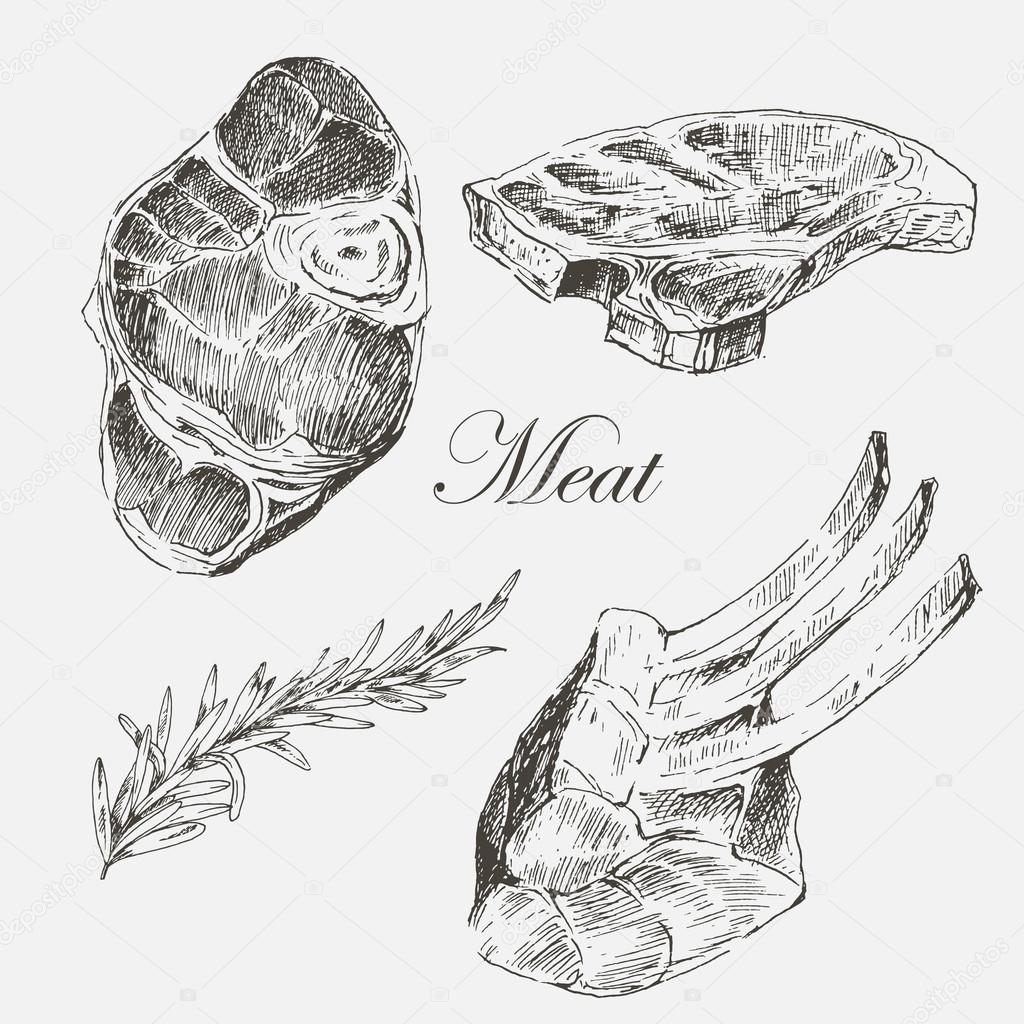 1024x1024 Vector Steak Meat Hand Drawing With Pepper And Rosemary. Detailed