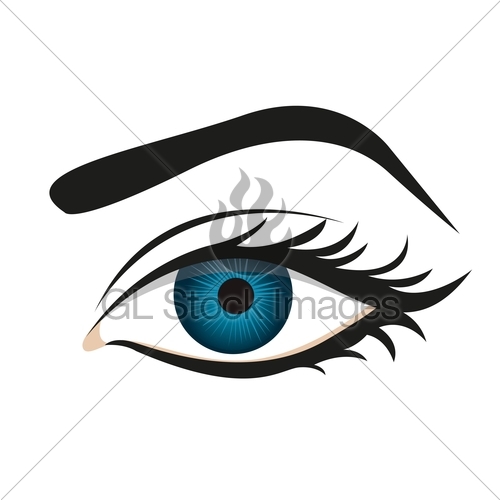 500x500 Detailed Eye Lashes And Eyebrows Gl Stock Images