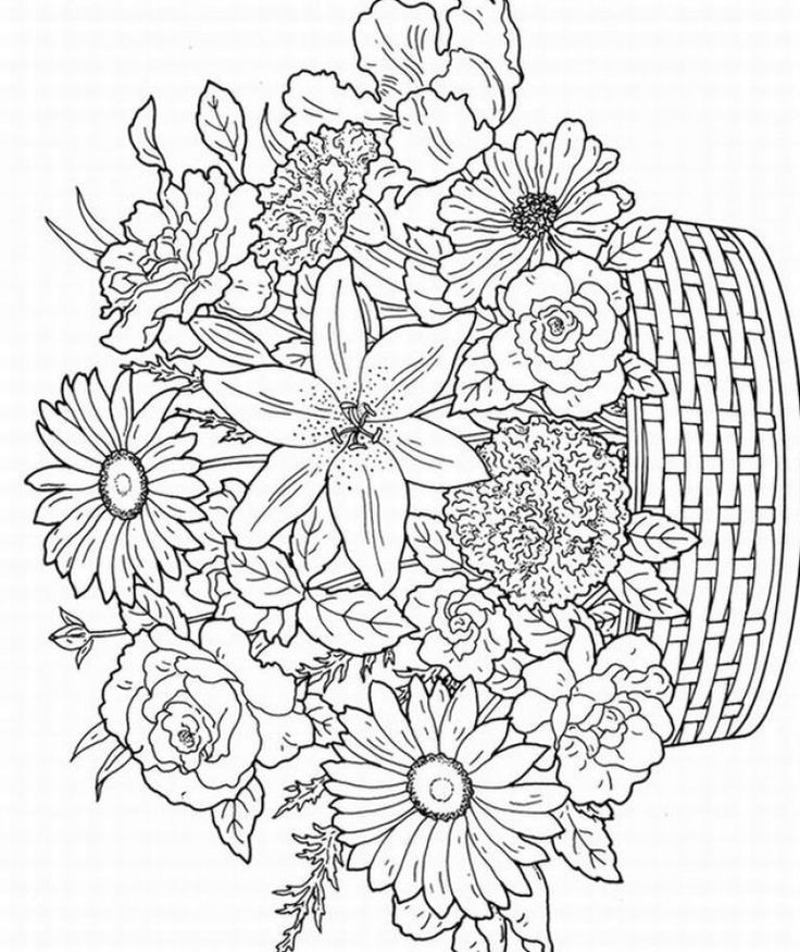 736x875 Detailed Flower Pattern Coloring Pages World Of Example