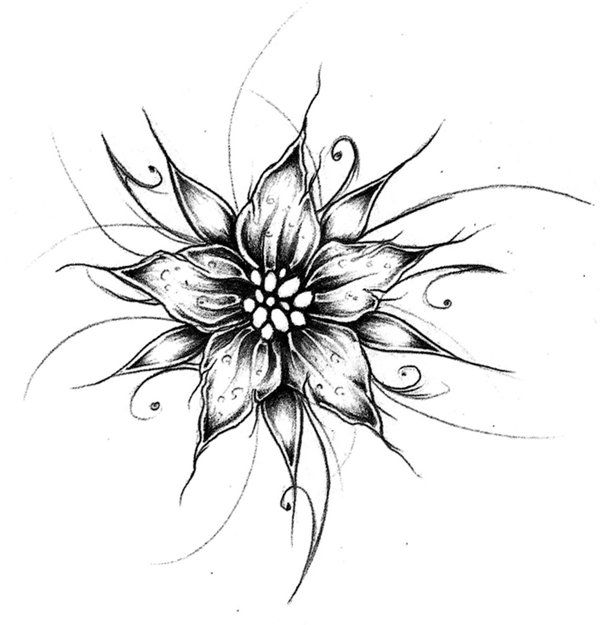 600x625 How To Draw A Amazing Flower My Web Value