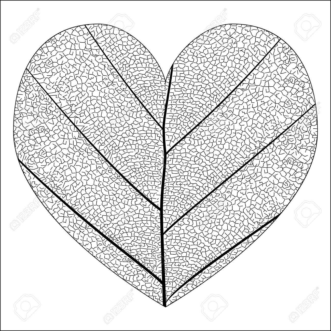 1300x1300 Botanical Series Elegant Detailed Single Leaf Closeup Texture