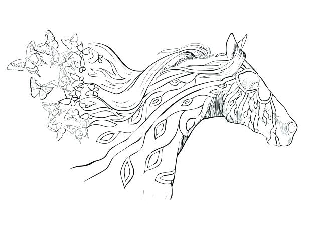 618x478 Detailed Horse Coloring Pages Jumping Horse Free Printable