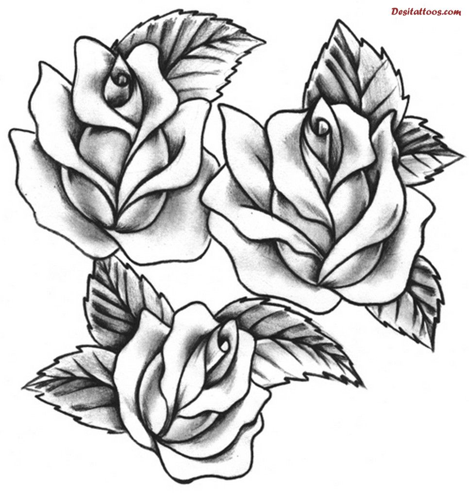 966x1024 Rose Drawings With Vines Drawings Of Flowers Leaves And Vines