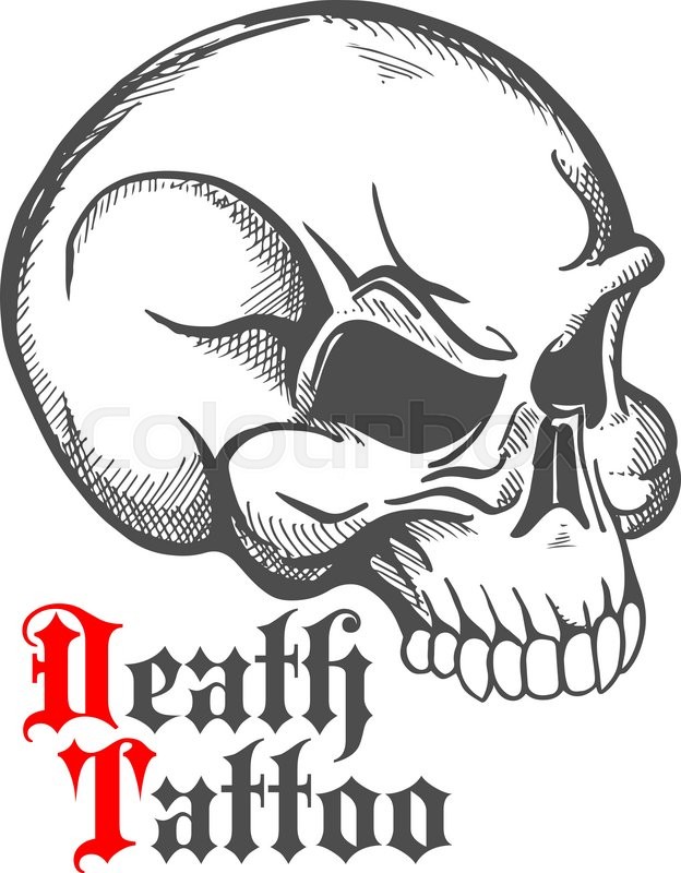 624x800 Decorative Vintage Sketch Of Human Skull For Tattoo Or Death