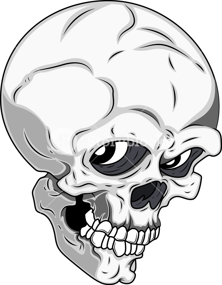 779x1000 Detailed Skull Vector Illustration Royalty Free Stock Image