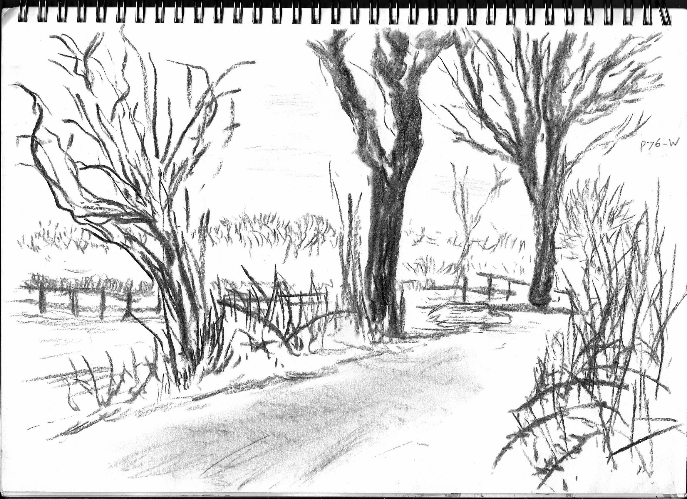 2338x1700 P79 360 Degree Studies The Milkman Goes To College