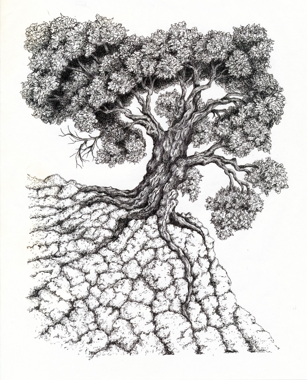 1291x1600 Tedd Vallance Illustration And Design