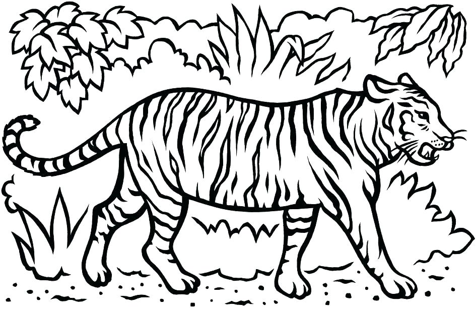 945x615 Coloring Pages Of Tigers Tiger Coloring Pages As Well As Tiger