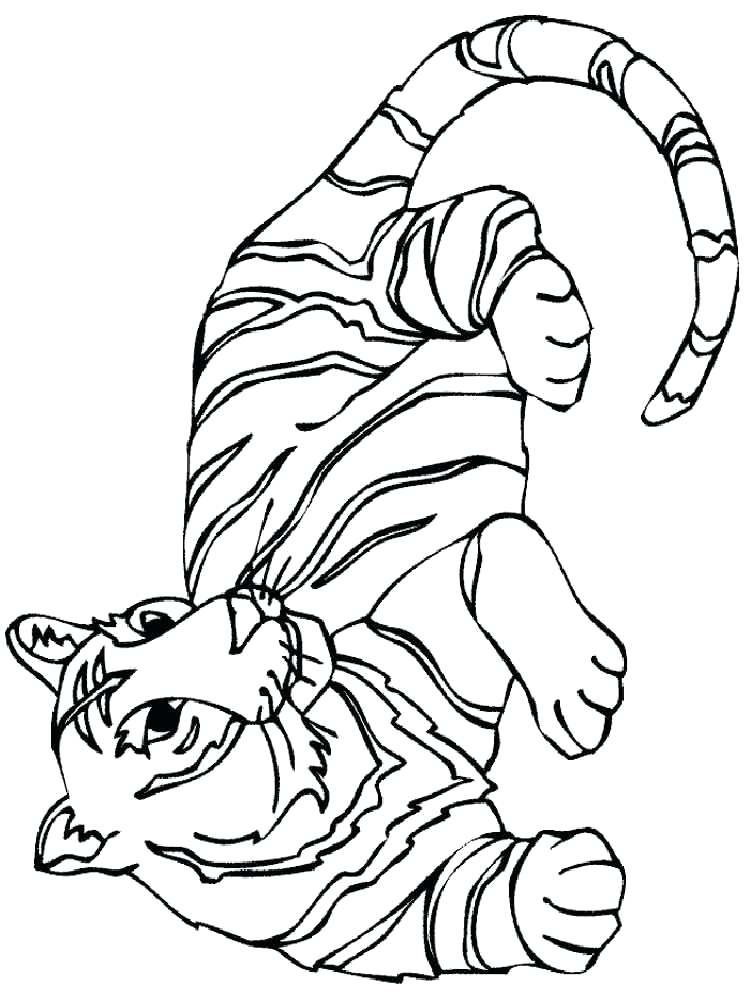 750x1000 Tigers Coloring Pages Coloring Pages Animals Tiger Detroit Tigers