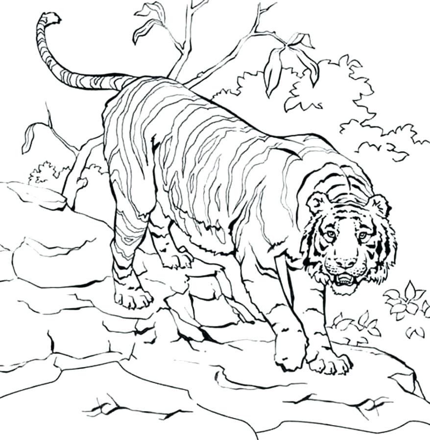 878x899 Coloring Detroit Tigers Coloring Pages Click The Logo Pictures