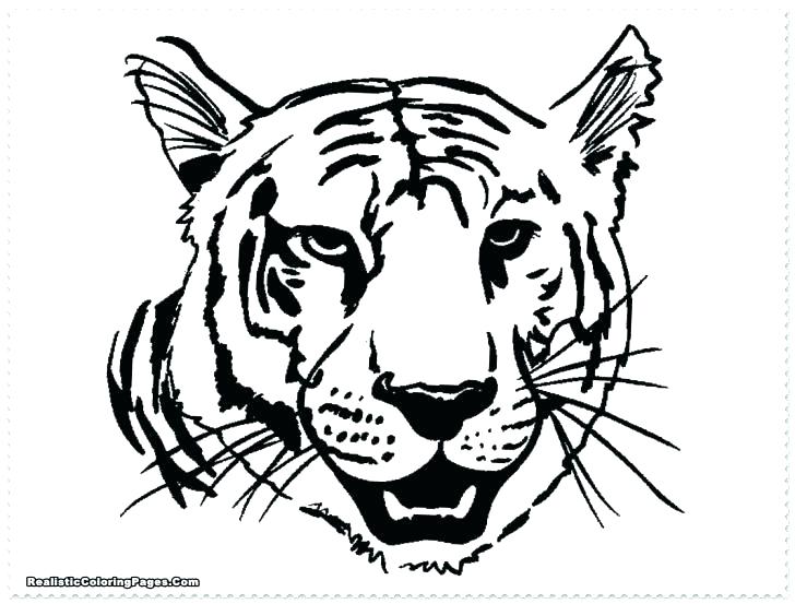 728x553 Coloring Page Of Tiger Tiger Tiger Coloring Page Detroit Tigers