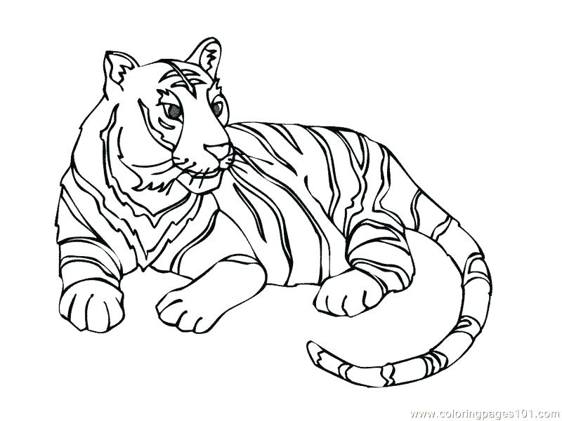 800x600 Coloring Pages Of Tigers Tiger Coloring Pages As Well As Tiger