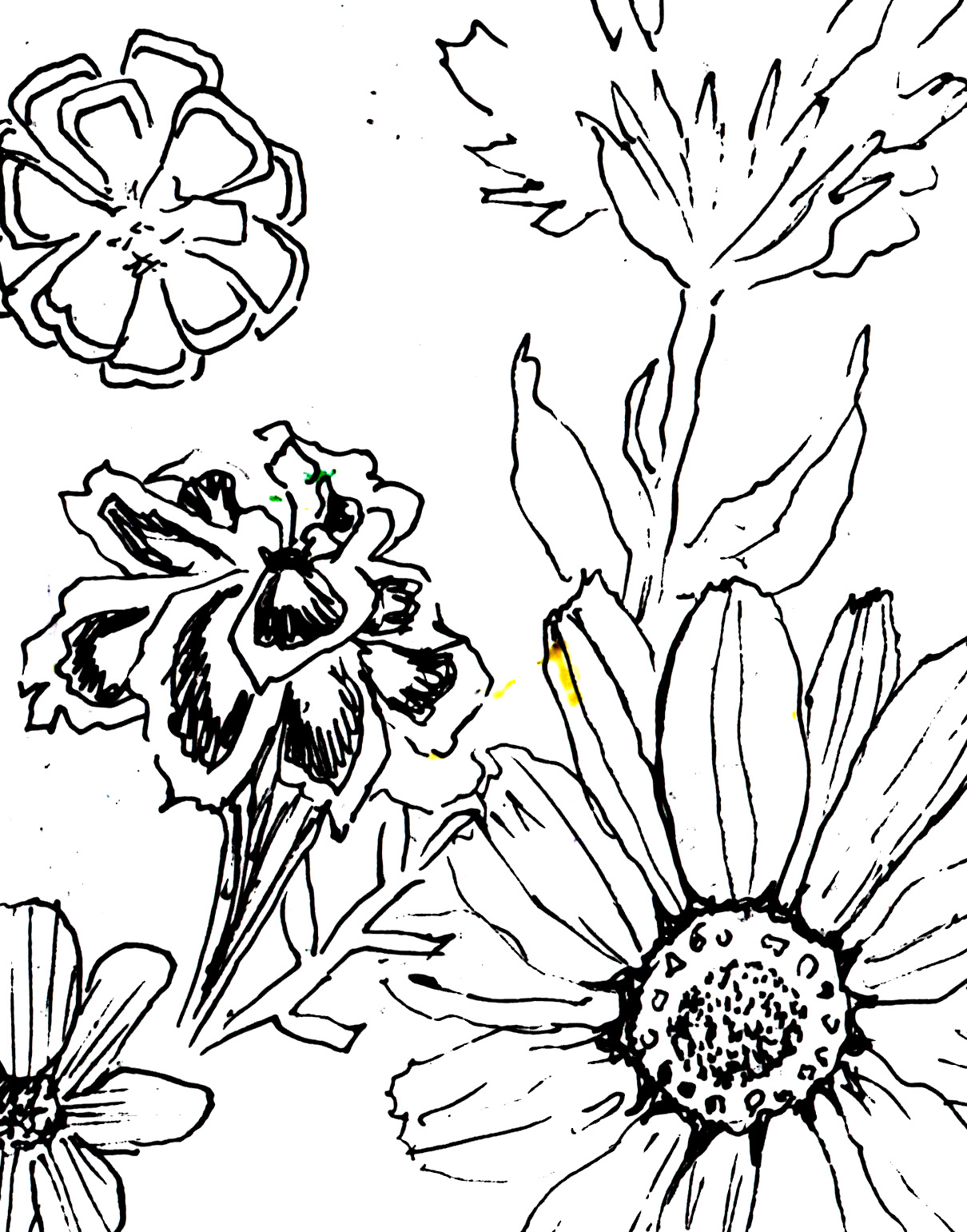 1210x1541 The Sketchbook Challenge October 2012