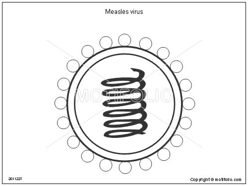 500x375 Measles Virus Illustrations