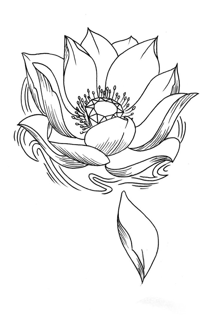 725x1103 Lotus W Diamond Center It's A Thought Diamond