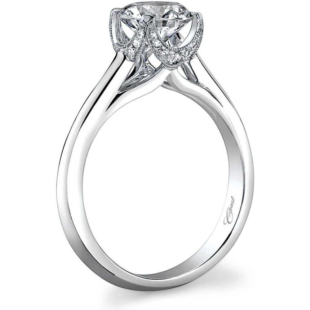 1000x1000 Coast Diamond