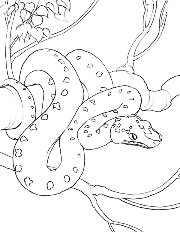 600x773 Great Coloring Page Snake Best Of Green Twisty Noodle Pages