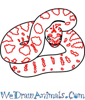 300x350 How To Draw A Eastern Diamondback Rattlesnake
