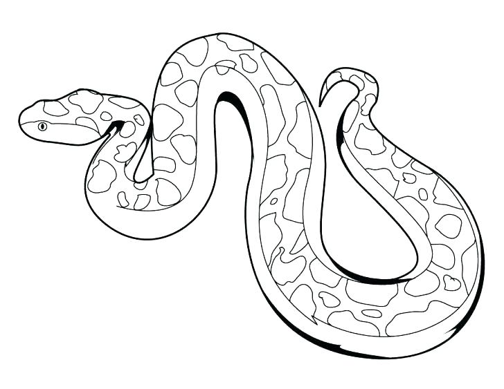 728x563 Rattlesnake Coloring Pages Snakes Coloring Pages Coloring