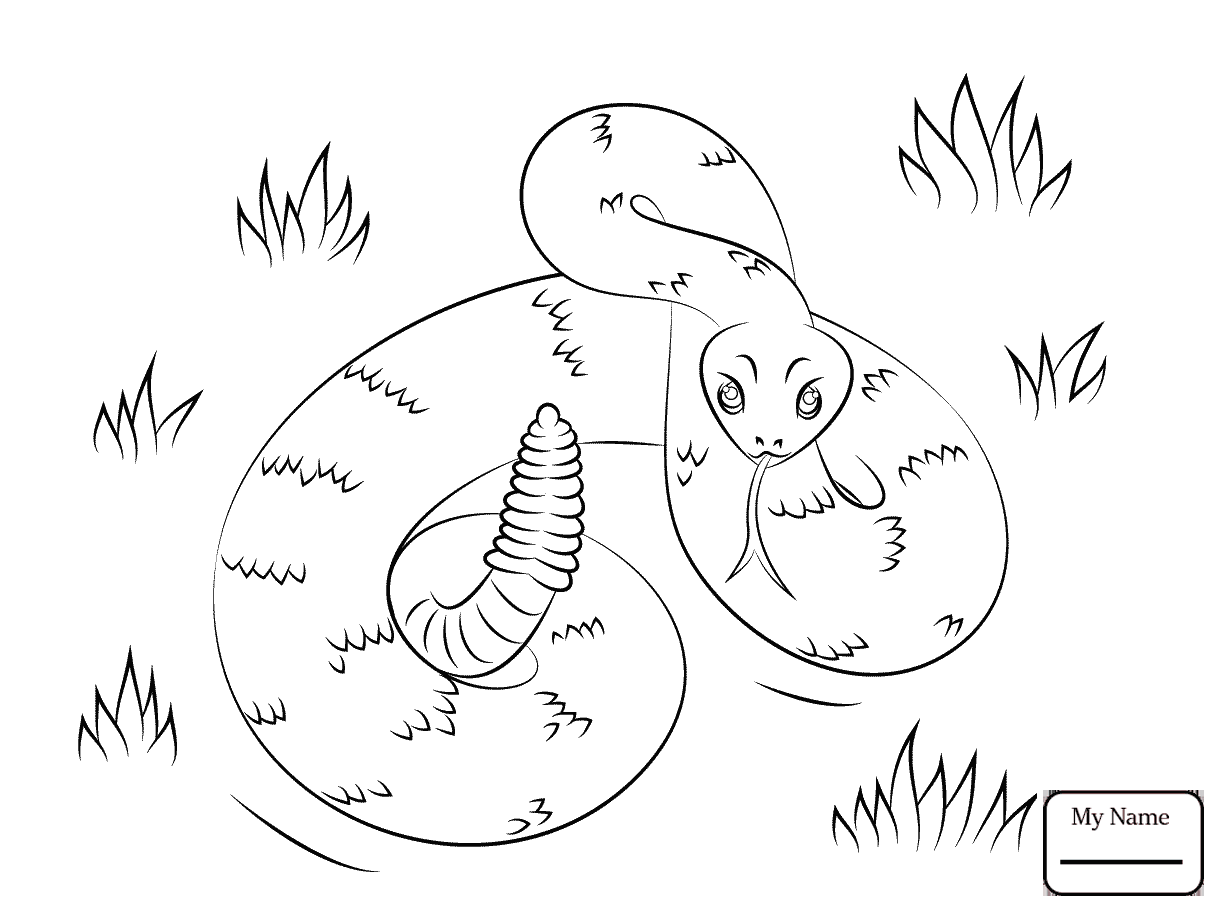 1224x913 Coloring Pages For Kids Rattlesnake Western Diamondback