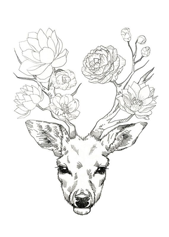 570x798 Dear, Deer Flower Drawings, Tattoo And Drawing Ideas