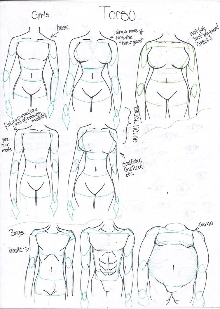 Different Body Types Drawing at GetDrawings | Free download