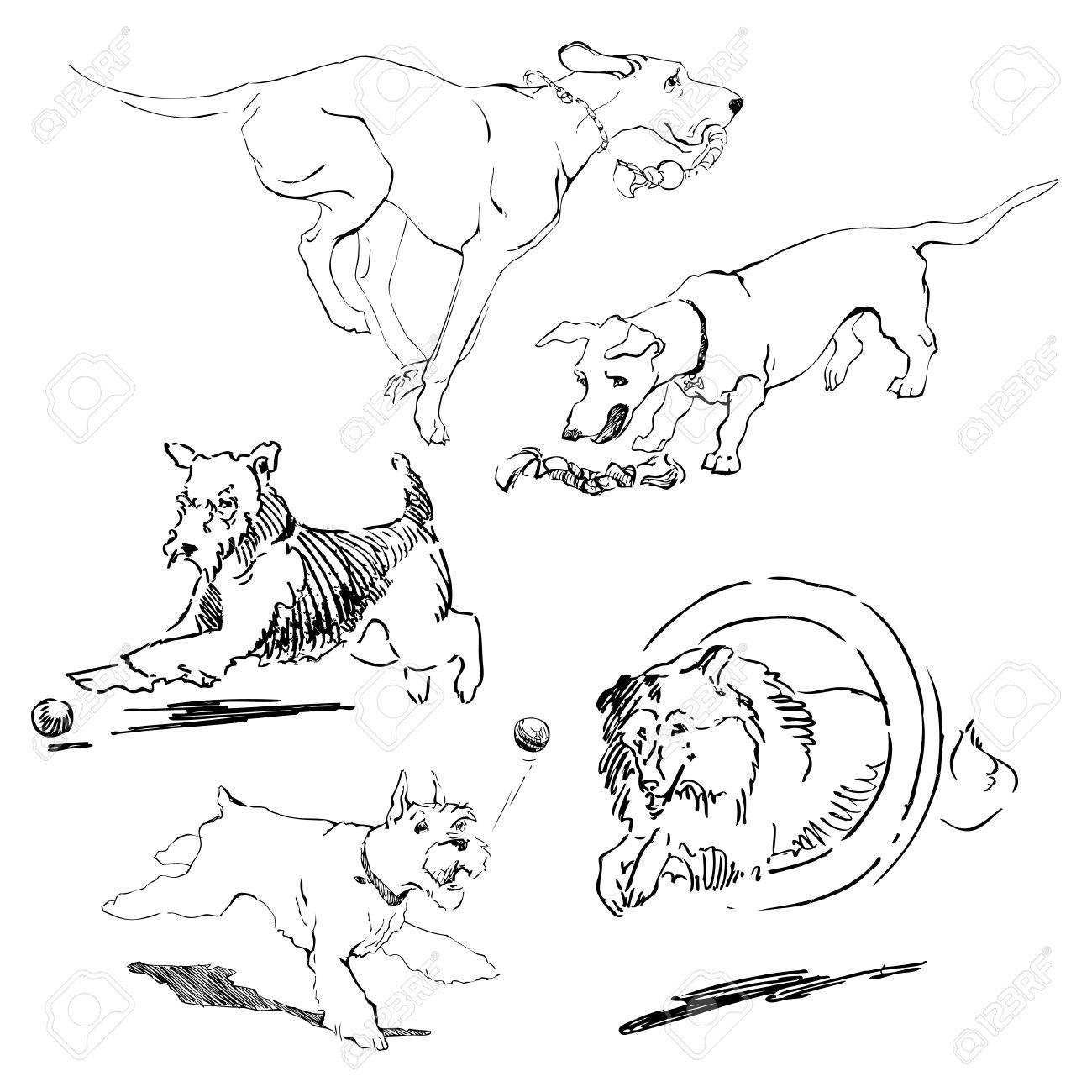 1300x1300 A Set Of Drawings Of Different Breeds Dogs In Motion. Games