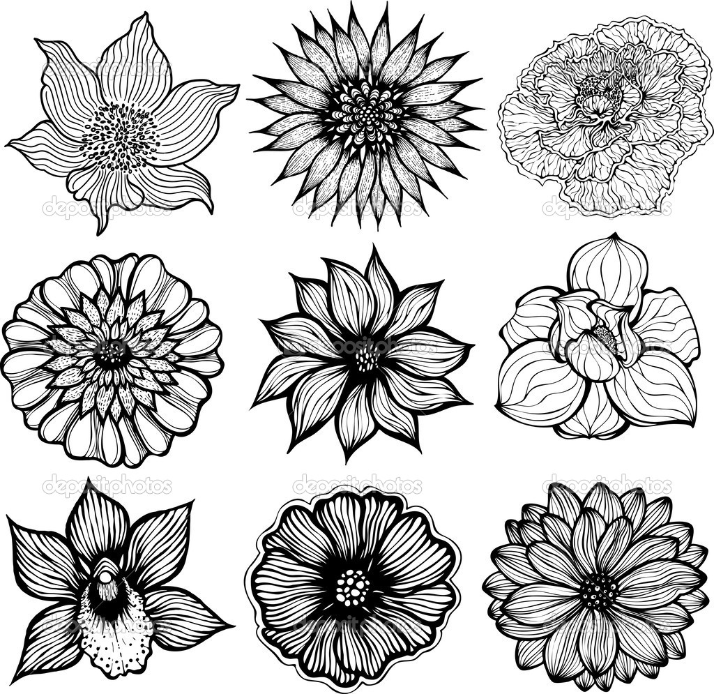 1024x995 Different Flowers To Draw
