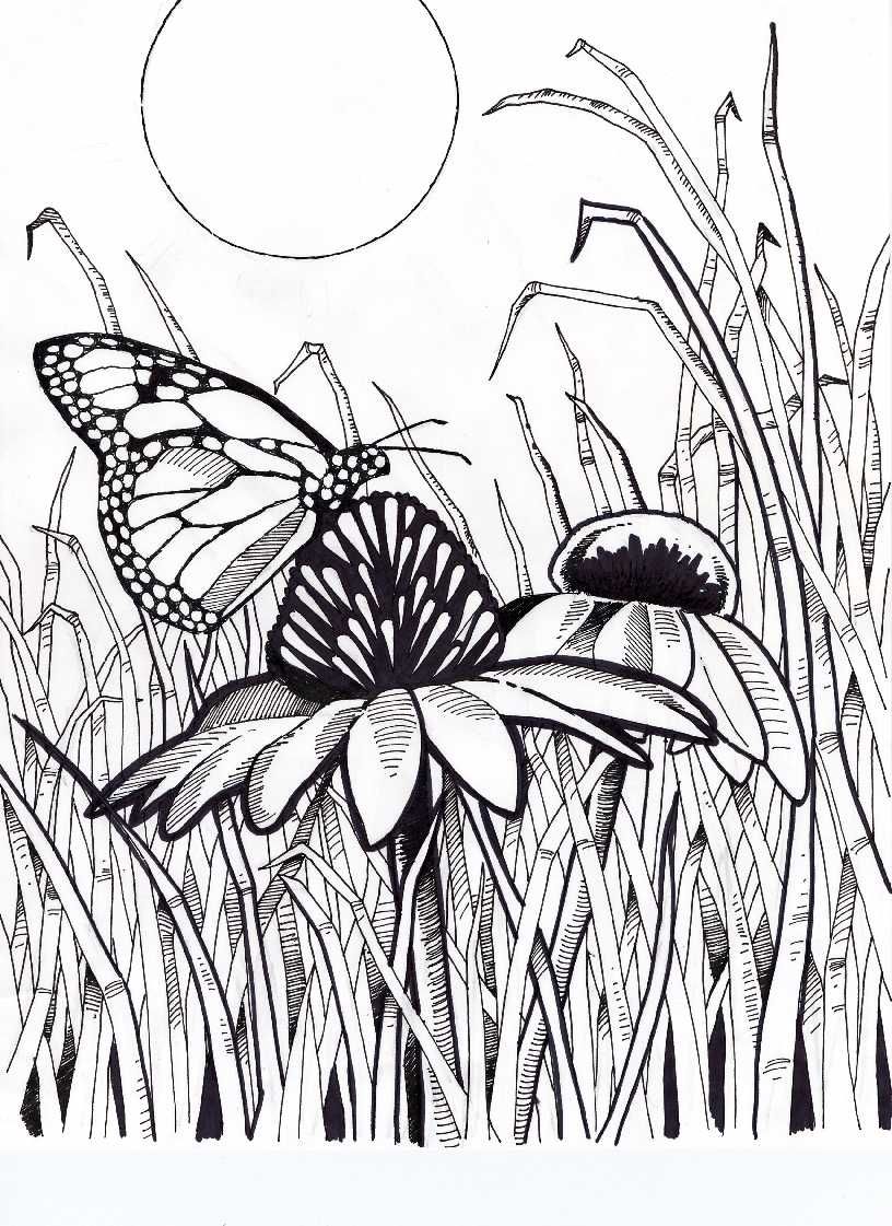816x1121 Difficult Coloring Pages For Adults