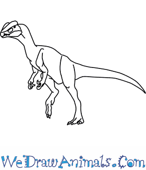 300x350 How To Draw A Dilophosaurus