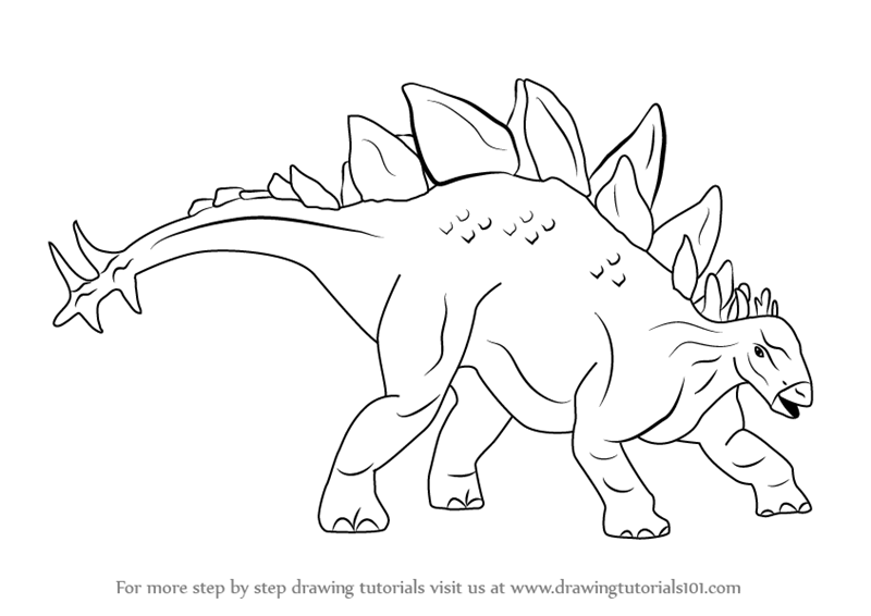 800x566 Learn How To Draw Stegosaurus Dinosaur (Dinosaurs) Step By Step