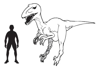 410x284 The Largest Of The Dromaeosauridae