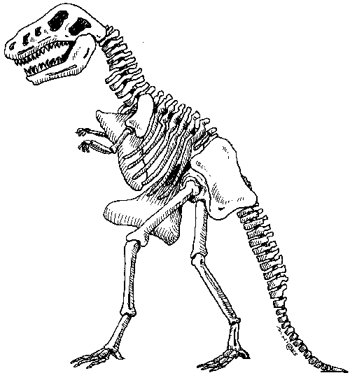 500x553 This Drawing Shows The Restoration Of A Stegosaurus Skeleton