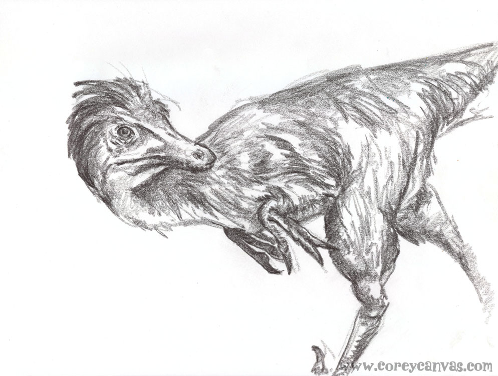 994x751 Dinosaur Drawings Feathered Dinos Dino