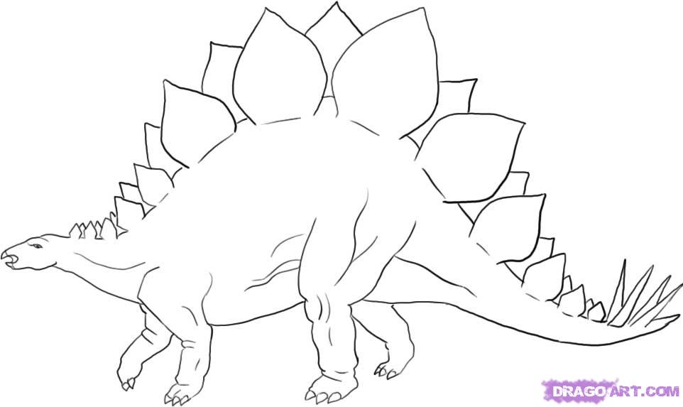 962x573 To Draw A Stegosaurus Dinosaur