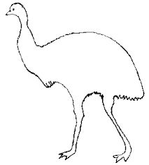 213x236 Image Result For Platypus Drawing Outline Aboriginal Art