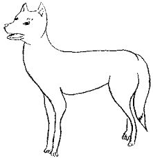 221x228 Image Result For Crocodile Drawing Aboriginal Art