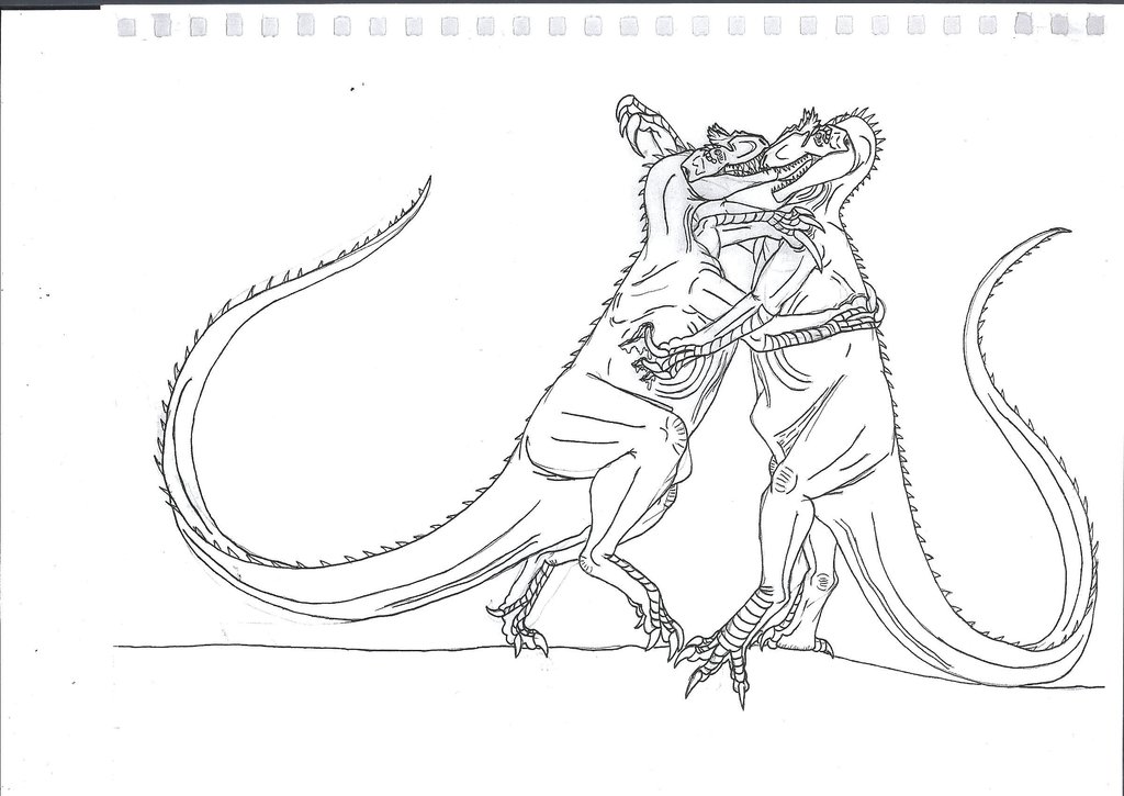 1024x725 Shark Dingo Rut By Saberrex