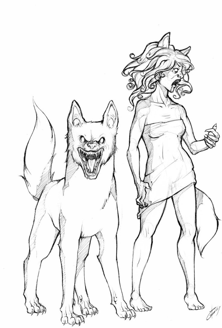 736x1086 Were Dingo Forms By Auto De Filet