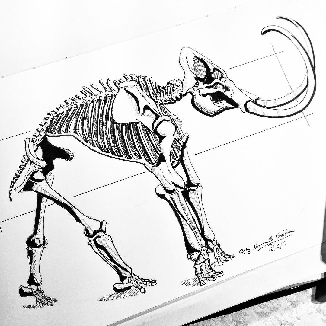 1080x1080 Inktober Day 16 Today It'S