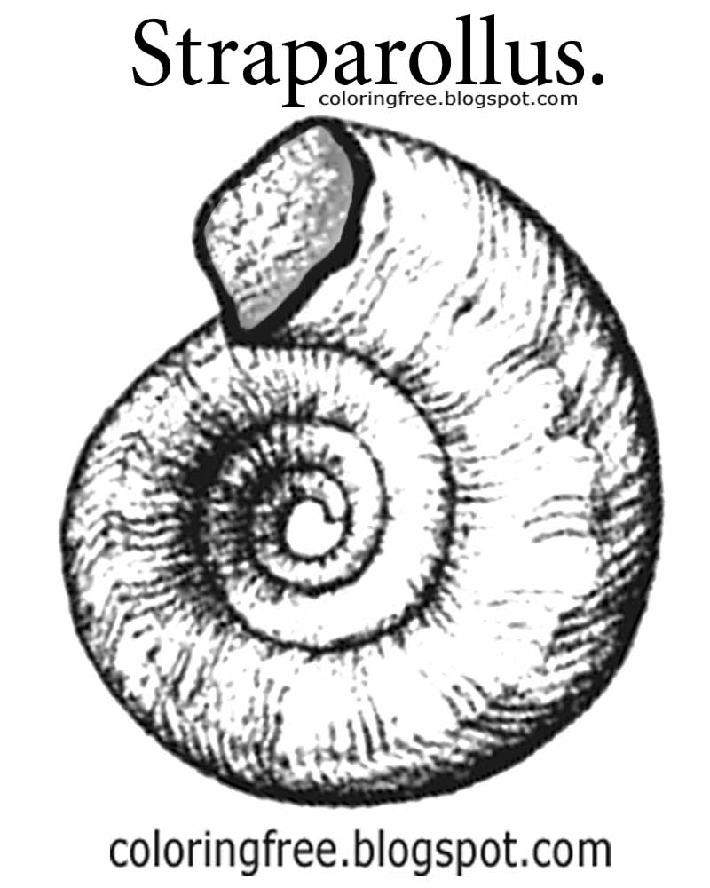 800x1000 Free Coloring Pages Printable Pictures To Color Kids Drawing Ideas