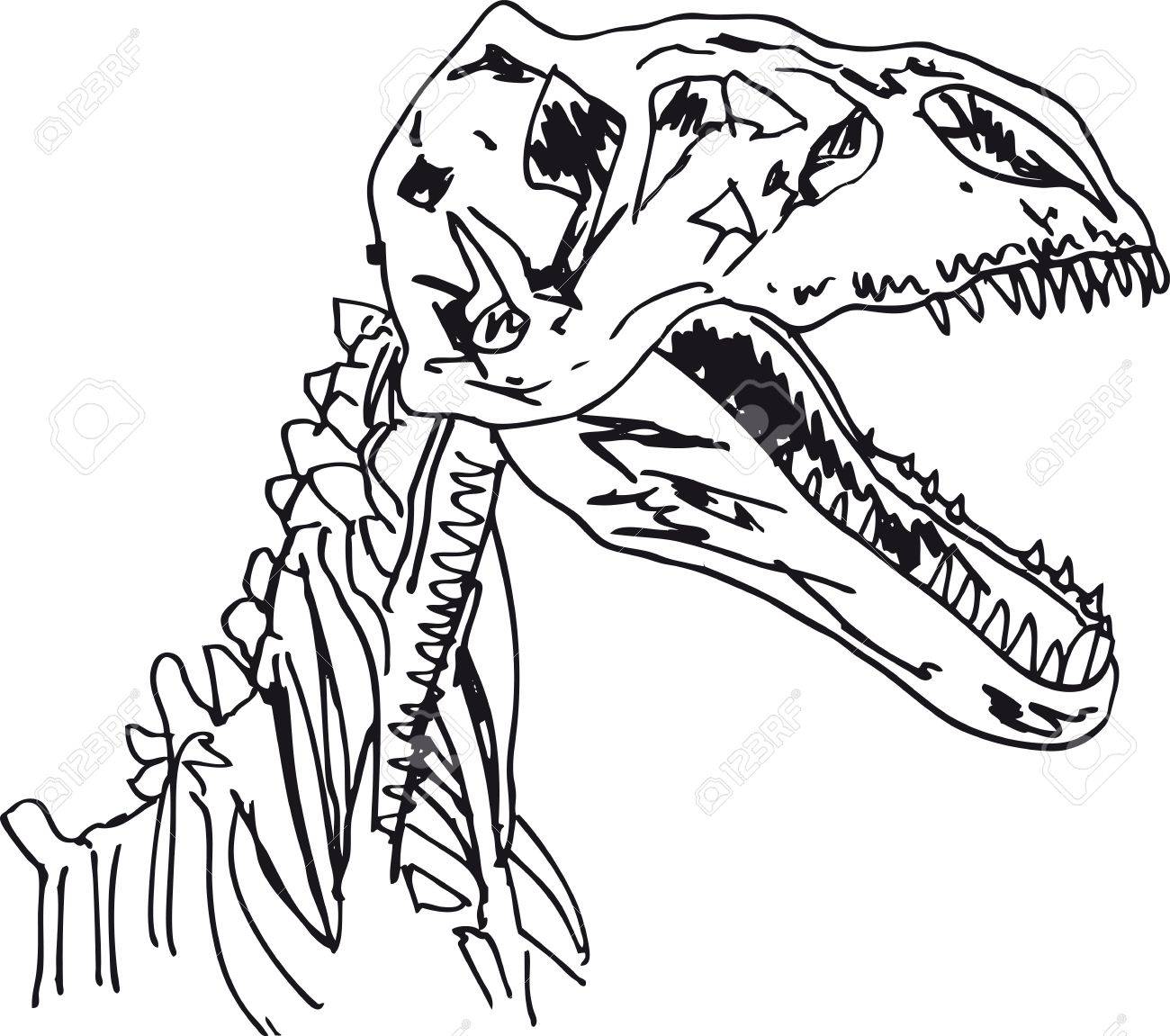 1300x1151 Sketch Of Dinosaur Fossil. Vector Illustration Royalty Free