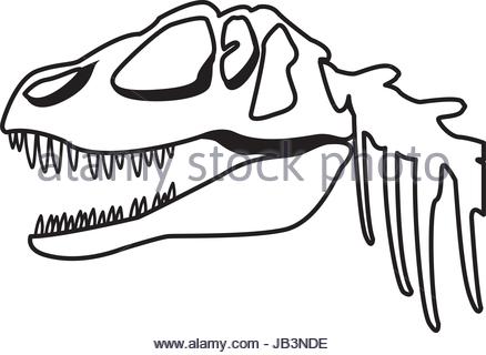 438x320 Vector Illustration Of Dinosaur Bone Stock Vector Art