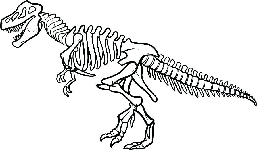 894x522 Dinosaur Bones Coloring Pages