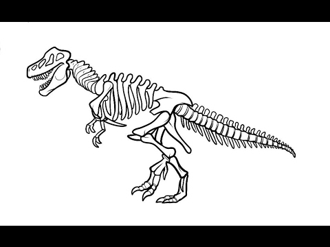 480x360 How To Draw Dinosaur T Rex Skeleton Step By Step