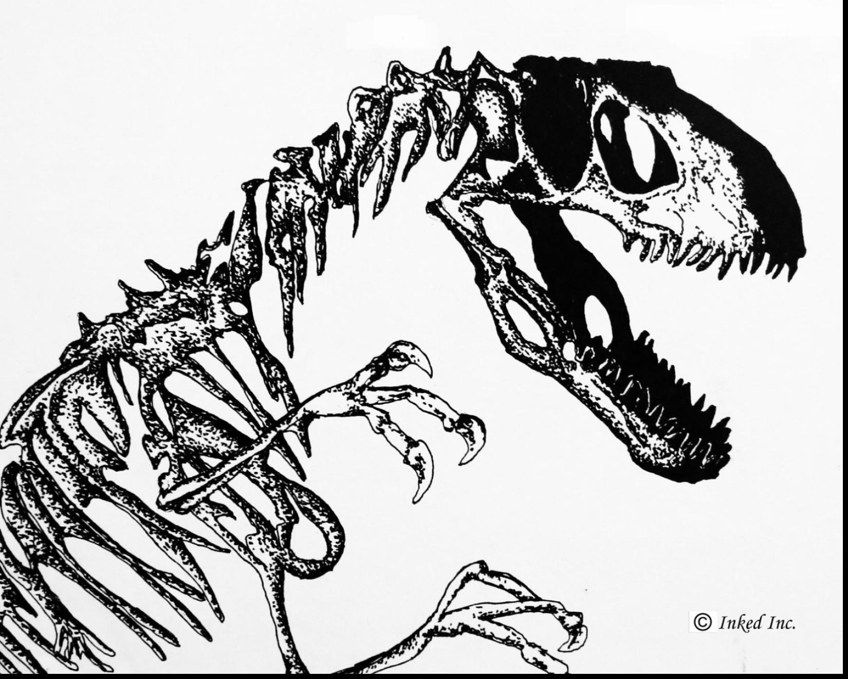 1650x1320 Remarkable How To Draw Skeleton Warrior Step With Skeleton